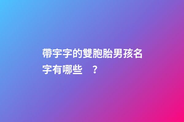 帶宇字的雙胞胎男孩名字有哪些？